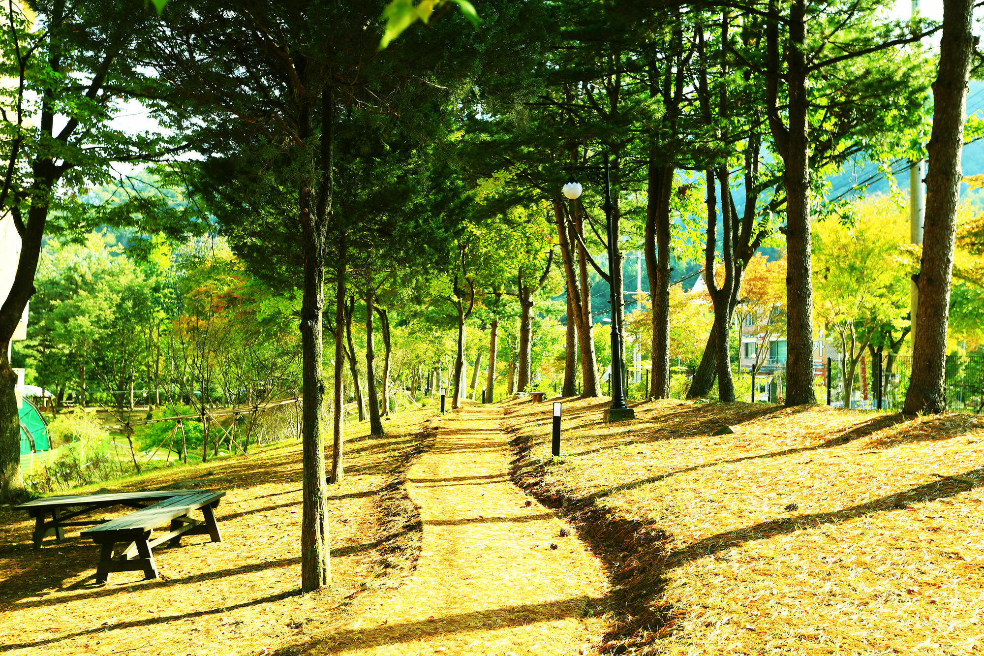 Kensington Resort Gapyeong Exterior foto